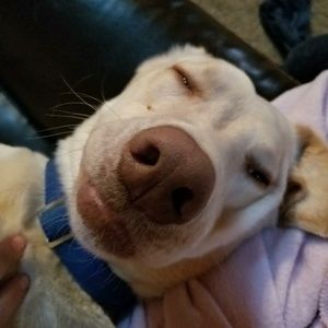 Meet your Posher, Carrie